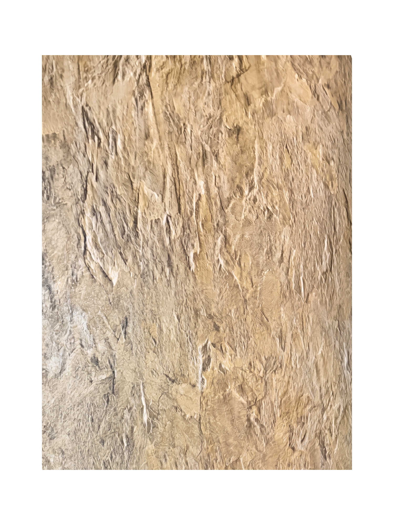 SPC Wandpanelen -SAHARA GOLD 2800-1220-3 mm